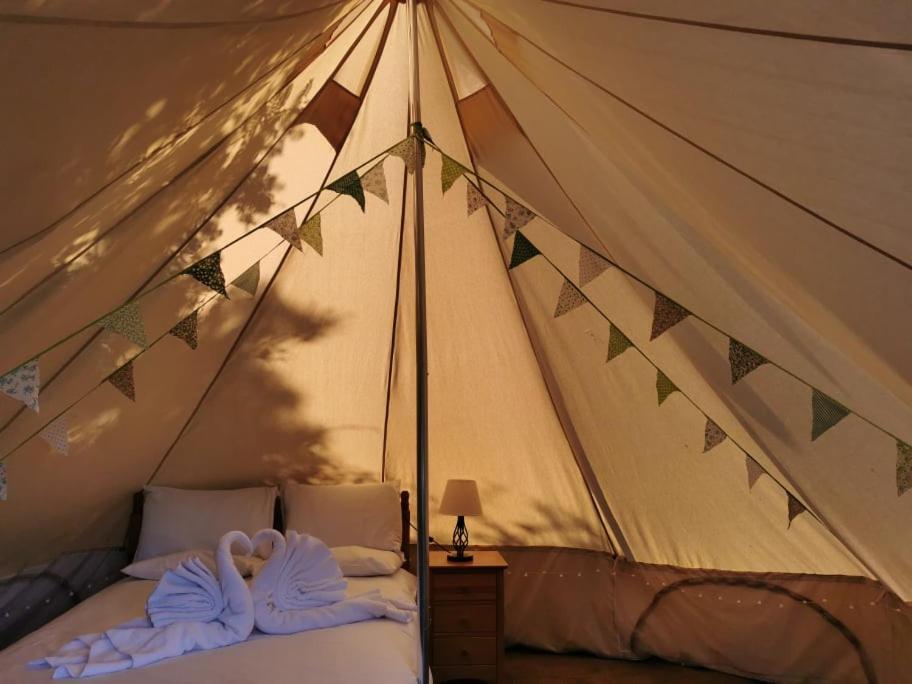 Wall Eden Farm - Luxury Log Cabins And Glamping Highbridge Exterior foto